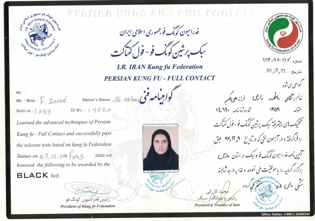 گواهینامه دان 2 کونگ فو